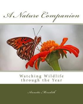 Paperback A Nature Companion: Watching Wildlife through the Year Book