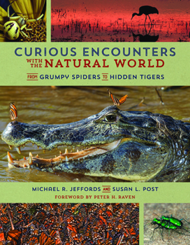 Paperback Curious Encounters with the Natural World: From Grumpy Spiders to Hidden Tigers Book