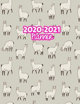 2020-2021 Planner: Two Year Calendar Organizer and Goal Journal | January 2020 - December 2021 Daily, Weekly and Monthly Planner Book with Back Sticker Expression Wall for 2 Years | Design Code 349952