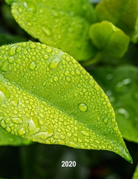 Low Vision 2020 Monthly & Weekly Planner: Calendar Diary for Visually Impaired Large Print Bold Lines on White Paper