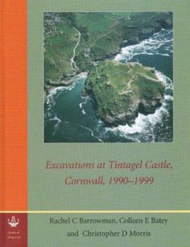 Excavations at Tintagel Castle, Cornwall, 1990-1999