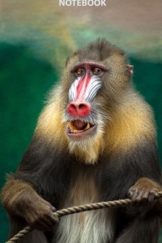 Notebook: Wild Nature Series, Monkey, Journal for Writing, College Ruled, Lined Notebook, Soft Cover, Matte, Size 6"x 9" inches, 120 Pages