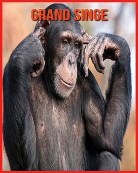 Paperback Grand Singe: Images et Informations Etonnantes Concernant les Grand Singe [French] Book