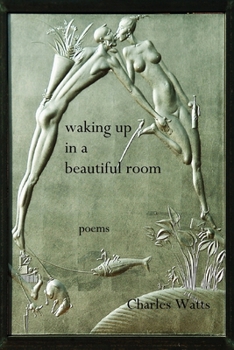 Paperback Waking Up in a Beautiful Room Book