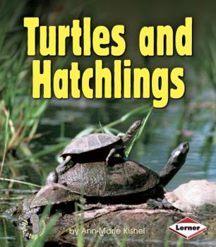 Turtles and Hatchlings - Book  of the First Step Nonfiction: Animal Families