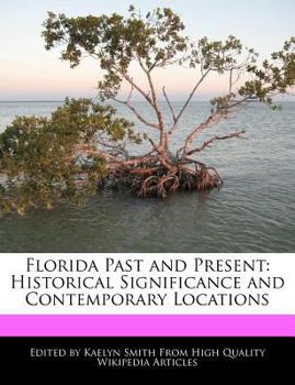 Paperback Florida Past and Present: Historical Significance and Contemporary Locations Book