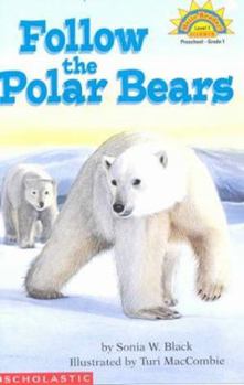 Paperback Follow the Polar Bears Book