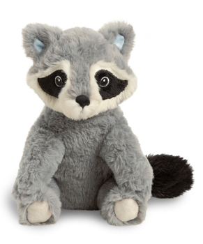 Misc. Chasing Dream Raccoon Plush Book