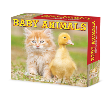Calendar Baby Animals 2023 Box Calendar Book