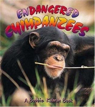 Endangered Chimpanzees - Book  of the Petit monde vivant