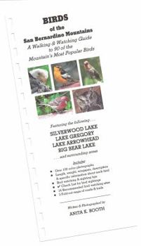 Birds of the San Bernardino Mountains