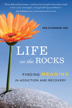 Paperback Life on the Rocks: Finding Meaning in Addiction and Recovery Book