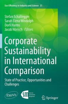 Paperback Corporate Sustainability in International Comparison: State of Practice, Opportunities and Challenges Book