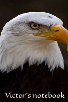 Victor's notebook , journal , size 6x9 , 100 pages: Perfect gift idea