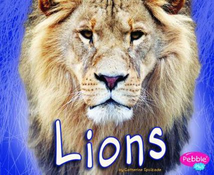 Hardcover Lions Book