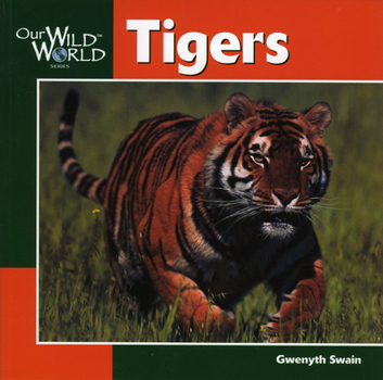 Paperback Tigers Book