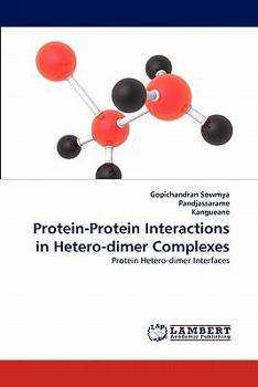 Paperback Protein-Protein Interactions in Hetero-dimer Complexes Book