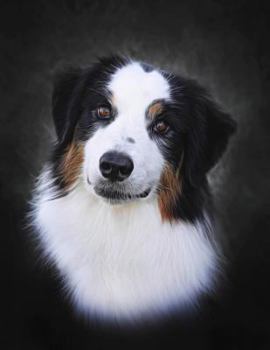 Paperback Dog Notebook: 8.5 X 11 202 College Ruled Pages Book