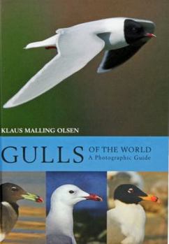 Hardcover Gulls of the World: A Photographic Guide Book