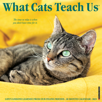Calendar What Cats Teach Us 2021 Wall Calendar Book