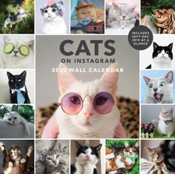 Calendar Cats on Instagram 2020 Wall Calendar: (cat Wall Calendar, 2020 Wall Calendar, Cat Gifts for Cat Lovers) Book