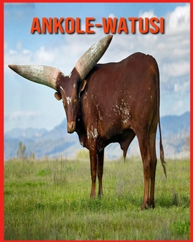 Paperback Ankole-Watusi: Fantastici fatti e immagini [Italian] Book