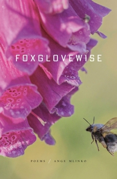 Hardcover Foxglovewise: Poems Book