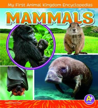 Paperback Mammals Book