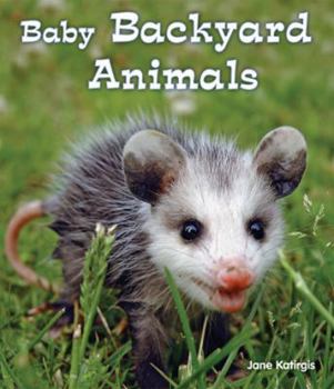 Paperback Baby Backyard Animals Book