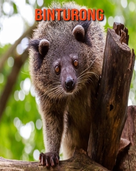 Binturong: Recueil pour Enfants de Belles Images & d'Informations Int?ressantes Concernant les Binturong