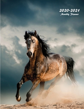 2020-2021 Monthly Planner: Large Two Year Planner (Wild Stallion)
