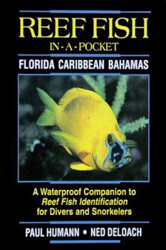 Pamphlet Reef Fish In A Pocket - Florida Caribbean Bahamas Book