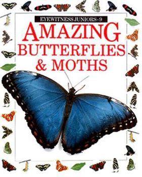 Paperback Amazing Butterflies & Moths Book