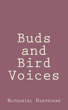 Paperback Buds and Bird Voices Book
