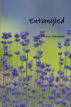 Paperback Entangled Book