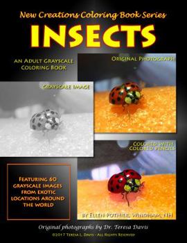 Paperback New Creations Coloring Book Series: Insects Book