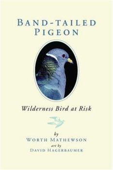 Hardcover Band-Tailed Pigeon: Wilderness Bird at Risk Book