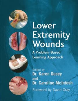 Paperback Lower Extremity Wounds: A Problem-Based Approach Book