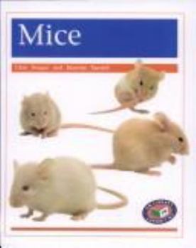 Paperback Mice Book
