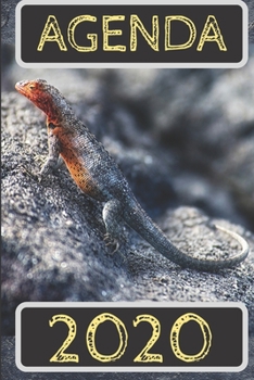 Agenda 2020: semainier&journalier 12 mois vue mensuelle en d�but de mois confort prise de notes avec nombreuses annexes format 15 x 22 cm motif l�zard