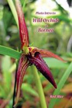 Paperback Photo Intro to: Wild Orchids of Borneo Book