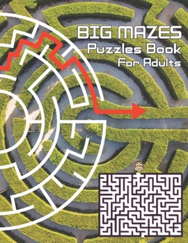 Paperback Big Mazes Puzzles Book For Adults: Challenge and Fun for your Brain, Square Mazes Level Two-Player Mazes Books for Beginner to Expert, Maze Puzzle Boo Book