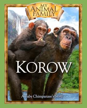 Hardcover Korow: A Baby Chimpanzee's Story [With DVD] Book
