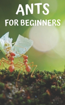 Paperback Ants for beginners: Guide to successfully keep ants in an ant farm for novices Book