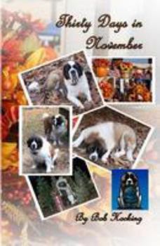 Paperback Thirty Days in November Book