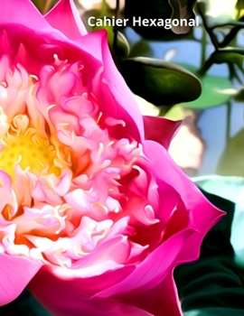 Cahier Hexagonal: 150 pages pour prendre vos notes de chimie organique, biochimie (étudiants, professeurs et professionnels) (French Edition)