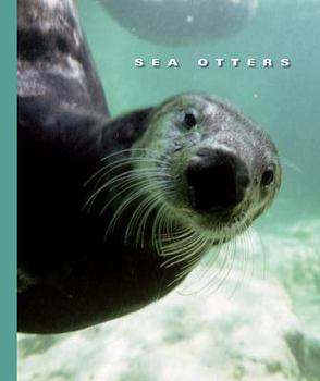 Library Binding Sea Otters Book