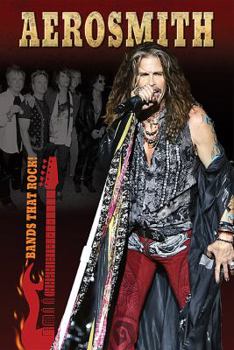 Paperback Aerosmith Book