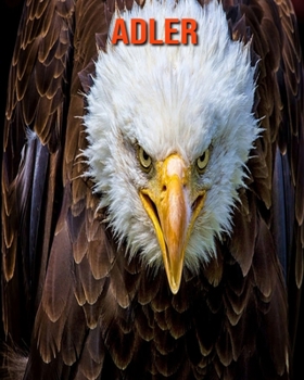 Adler: Sagenhafte Fotos & Buch mit lustigem Wissen �ber Adler f�r Kinder