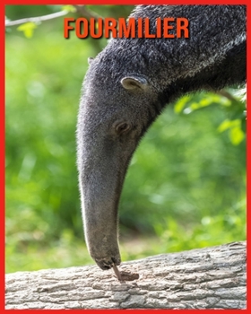 Paperback Fourmilier: Informations Int?ressantes et Amusantes Concernant les Fourmilier [French] Book